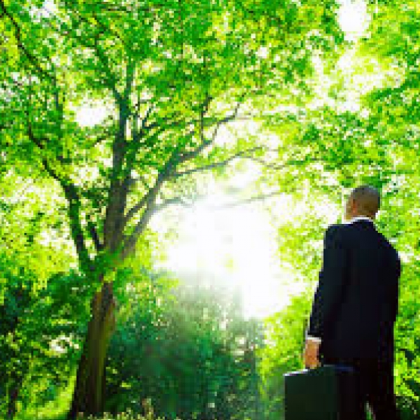 Consultoria Ambiental